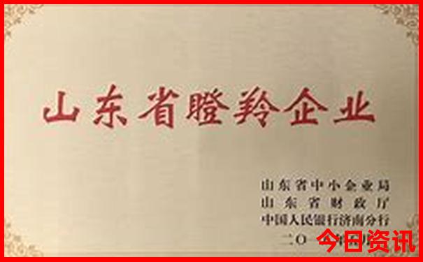 全国景点排名100名